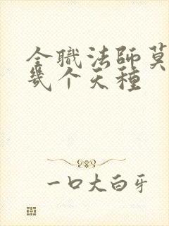 全职法师莫凡有几个天种