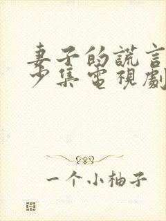 妻子的谎言共多少集电视剧