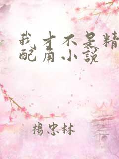 我才不是精灵文配角小说