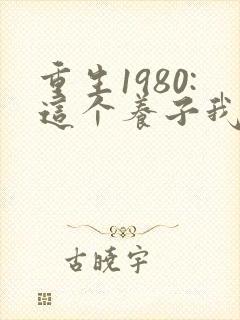 重生1980:这个养子我不当了电视短剧