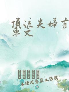 顶流夫妇有点甜车文