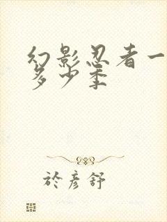 幻影忍者一共有多少季