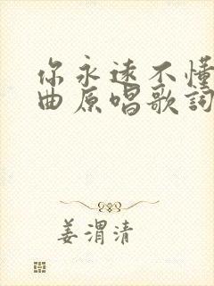 你永远不懂我歌曲原唱歌词