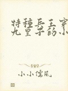 特种兵王穿越成九皇子的小说