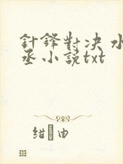 针锋对决 水千丞小说txt