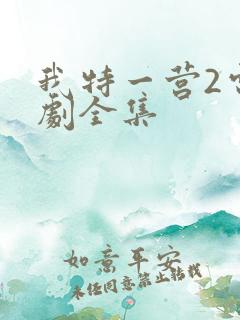 我特一营2电视剧全集