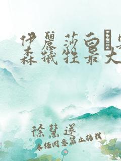 伊丽莎白·奥尔森牺牲最大的电影