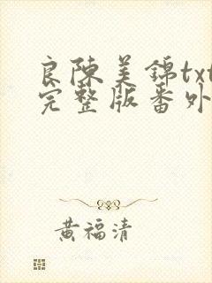 良陈美锦txt完整版番外