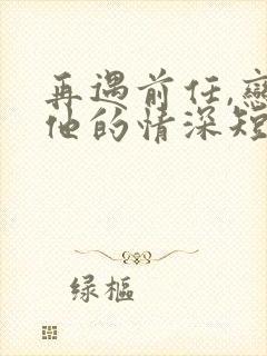 再遇前任,恋上他的情深短剧全集高清