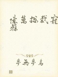 亿万总裁宠妻上瘾