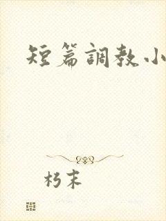 短篇调教小合集