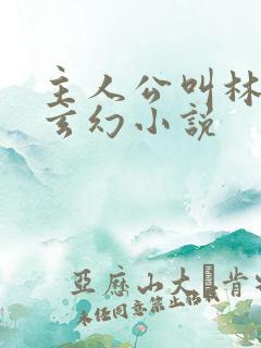 主人公叫林峰的玄幻小说