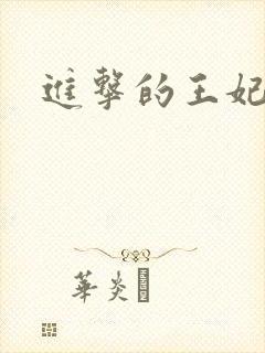 进击的王妃网剧