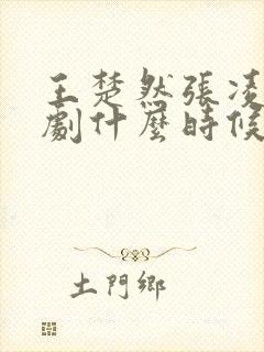 王楚然张凌赫新剧什么时候播出