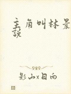 主角叫林晨的小说