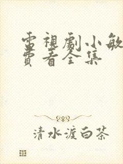 电视剧小敏家免费看全集