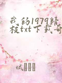 我的1979精校txt下载奇书网