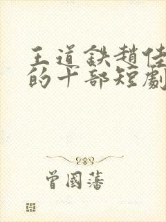 王道铁赵佳最火的十部短剧