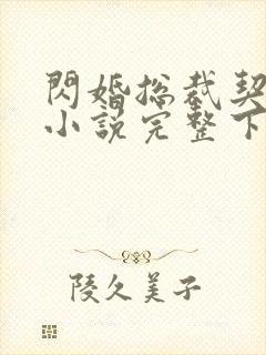 闪婚总裁契约妻小说完整下载