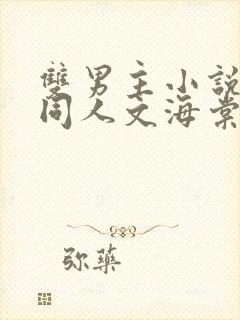 双男主小说免费同人文海棠文