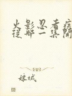 火影忍者疾风传从哪一集开始