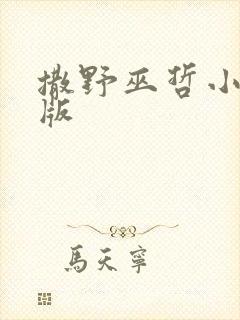 撒野巫哲小说原版