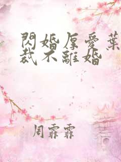 闪婚厚爱叶少总裁不离婚