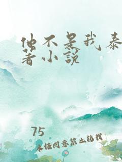 他不是我泰剧原著小说