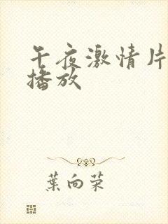 午夜激情片在线播放