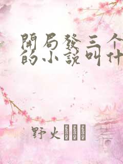 开局发三个老婆的小说叫什么