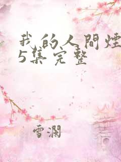 我的人间烟火45集完整