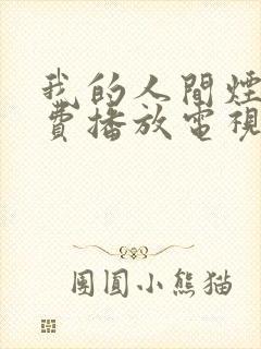 我的人间烟火免费播放电视剧最新