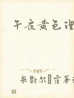 午夜黄色理论片