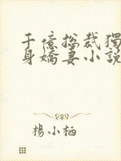 千亿总裁独宠替身娇妻小说