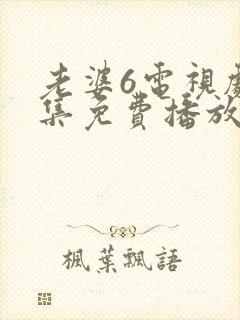 老婆6电视剧全集免费播放西瓜