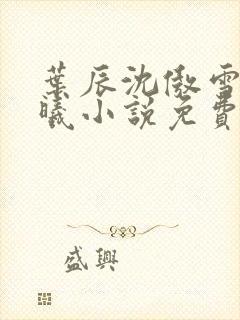 叶辰沈傲雪林若曦小说免费阅读
