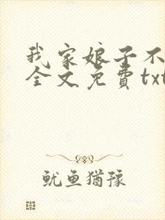 我家娘子不对劲全文免费txt下载