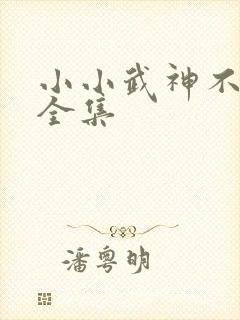 小小武神不好惹全集