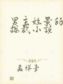 男主姓景的霸道总裁小说