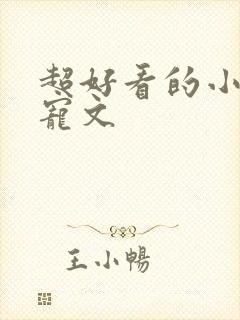 超好看的小说甜宠文