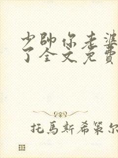 少帅你老婆又跑了全文免费阅读了