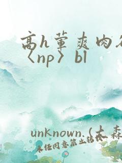 高h荤爽肉欲文〈np〉bl