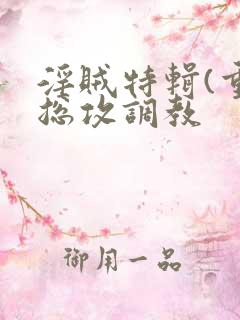 淫贼特辑(重口总攻调教