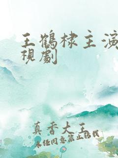 王鹤棣主演的电视剧