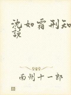 沈如霜刑知衍小说