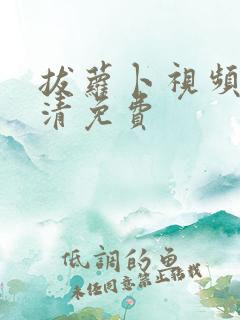 拔萝卜视频歌高清免费