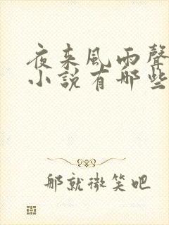 夜来风雨声写的小说有哪些