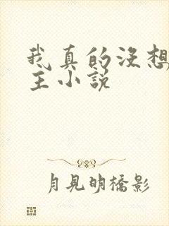 我真的没想抢男主小说