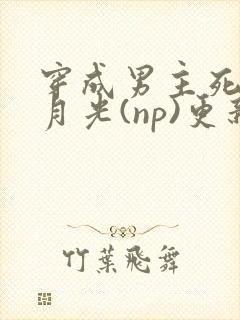穿成男主死遁白月光(np)更新时间