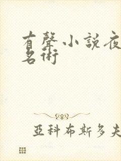 有声小说夜的命名术